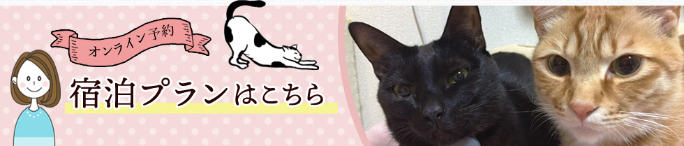 オンライン予約 宿泊プランはこちら