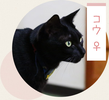 コウ ♀