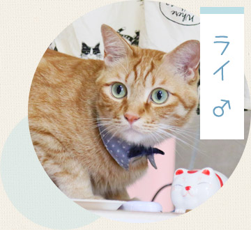 ライ ♂